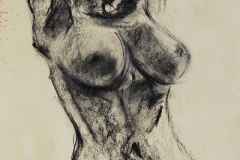 DSC_3396