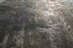 DSCF7045