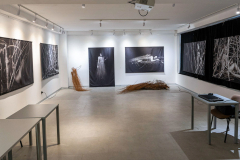 fsu-galerija-6