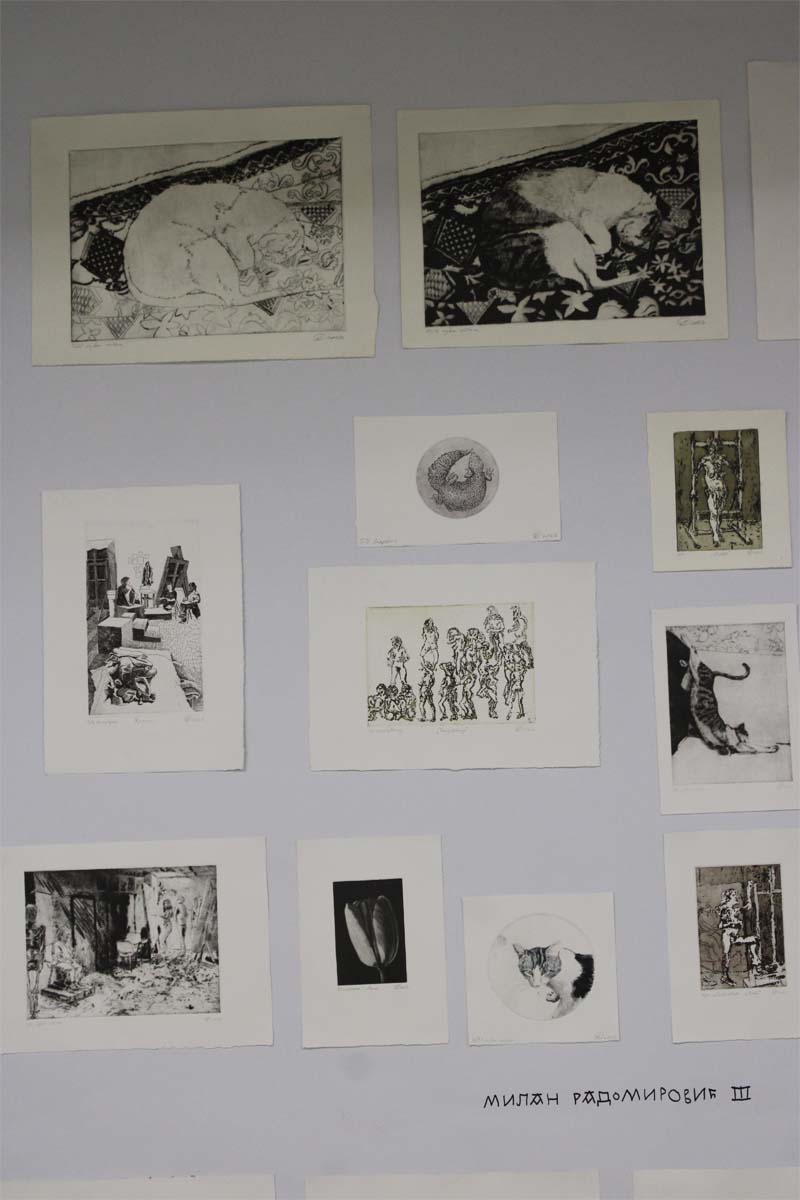 galerija-_0007_IMG_1120.JPG