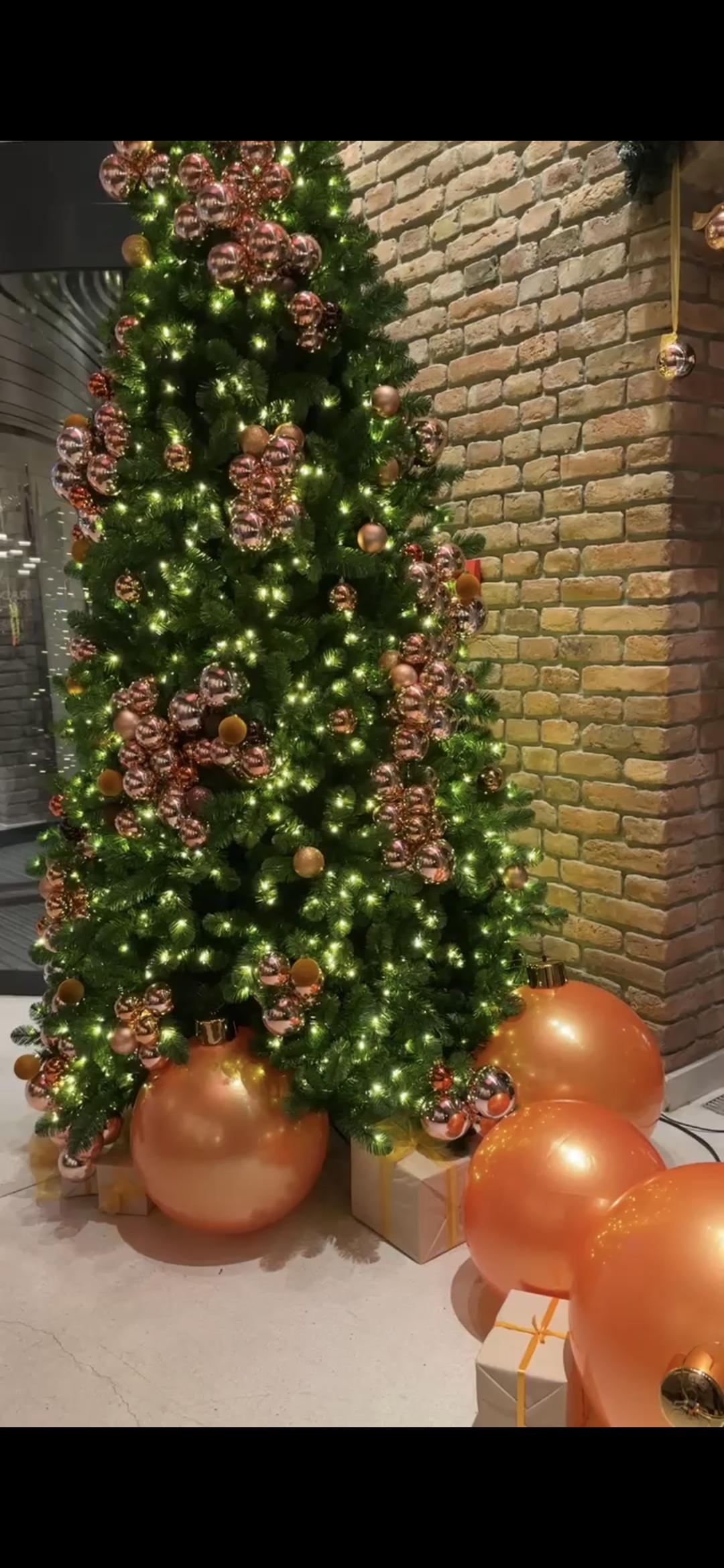 Screenshot_20241216_130623_Gallery