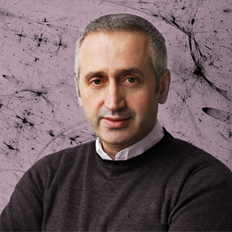 Saša Filipović