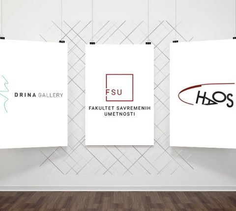 Saradnja FSU sa galerijama „Drina” i „Haos”