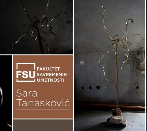 Sara Tanasković deo izložbe „Nevidljivi portret” u Paviljonu „Cvijeta Zuzorić”