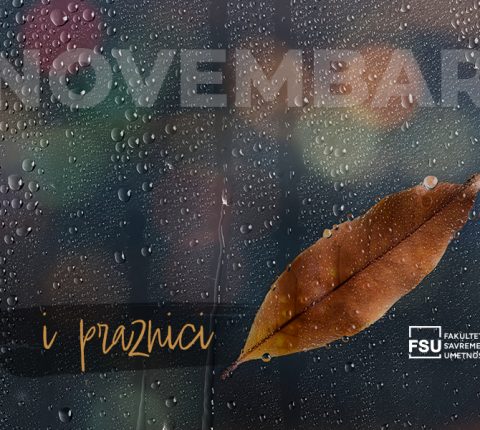 Novembar i praznici